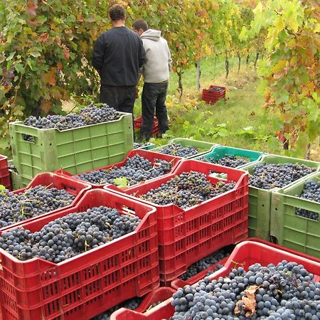 Podere Riosto Cantina&Agriturismo Pianoro Eksteriør bilde
