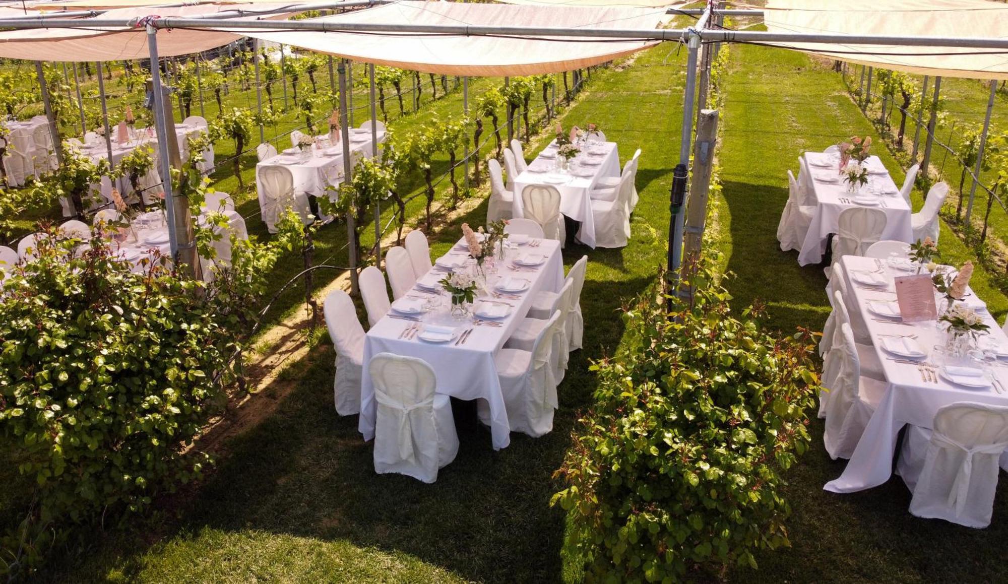 Podere Riosto Cantina&Agriturismo Pianoro Eksteriør bilde