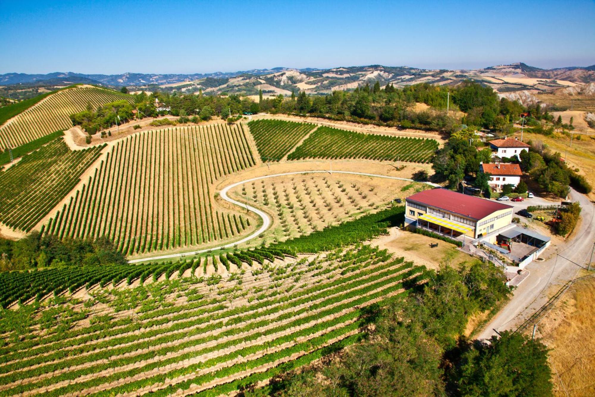 Podere Riosto Cantina&Agriturismo Pianoro Eksteriør bilde